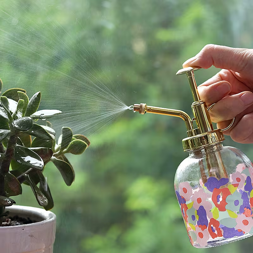 1 Heavy-duty glass watering can with spray and pressure relief valve - handheld sprayer